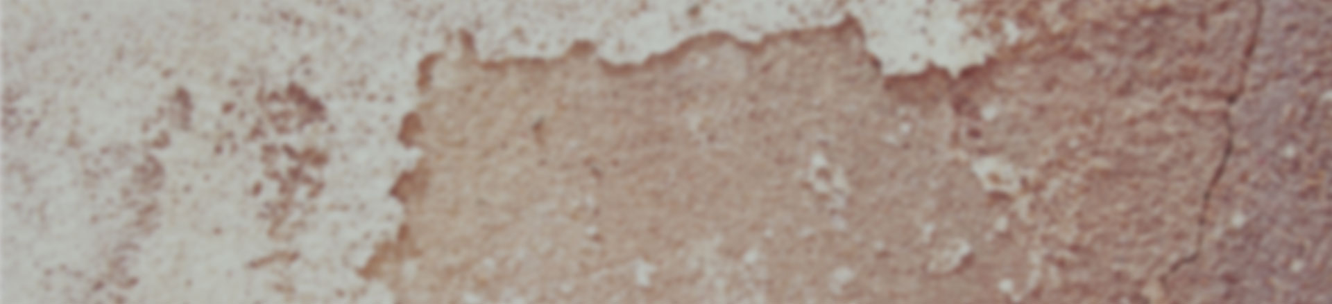 手机号轰炸业务网